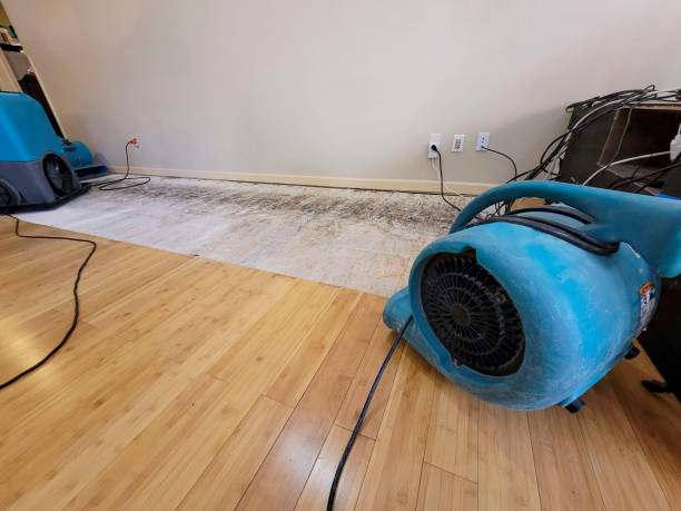 Professional Water Damage Repair technician working in Port Republic, MD